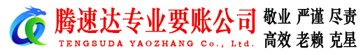 金寨腾速达收账公司
